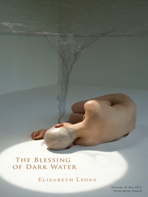 cover image of The Blessing of Dark Water